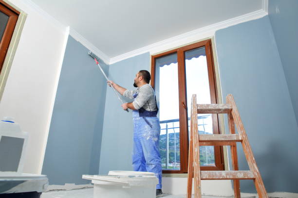 Best Biohazard Mold Removal  in Whitley City, KY