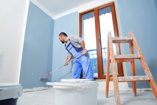 Best Basement Mold Removal  in Whitley City, KY