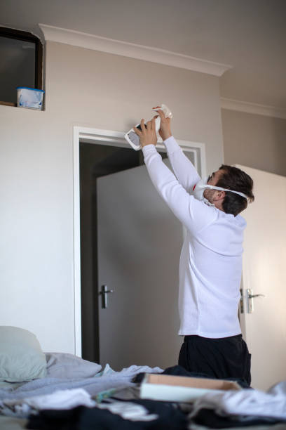 Best Air Quality Testing for Mold Spores  in Whitley City, KY