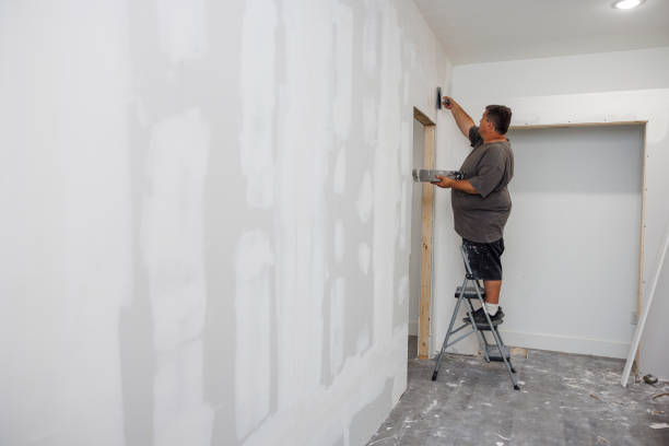 Best Mold Remediation for Vacation Homes  in Whitley City, KY